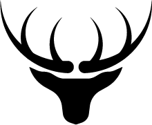 一个ShopAli新网店-测试demo